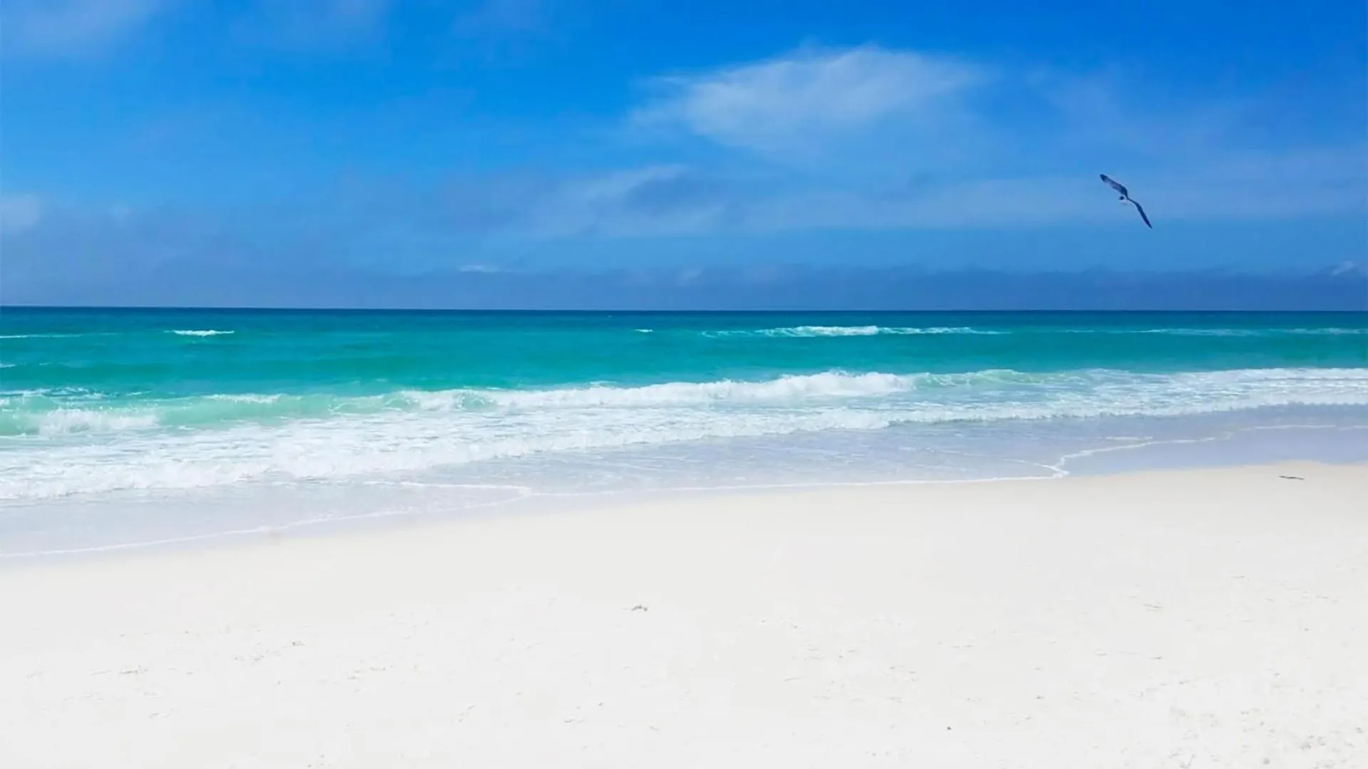 Splash 206E Panama City Beach 0*,